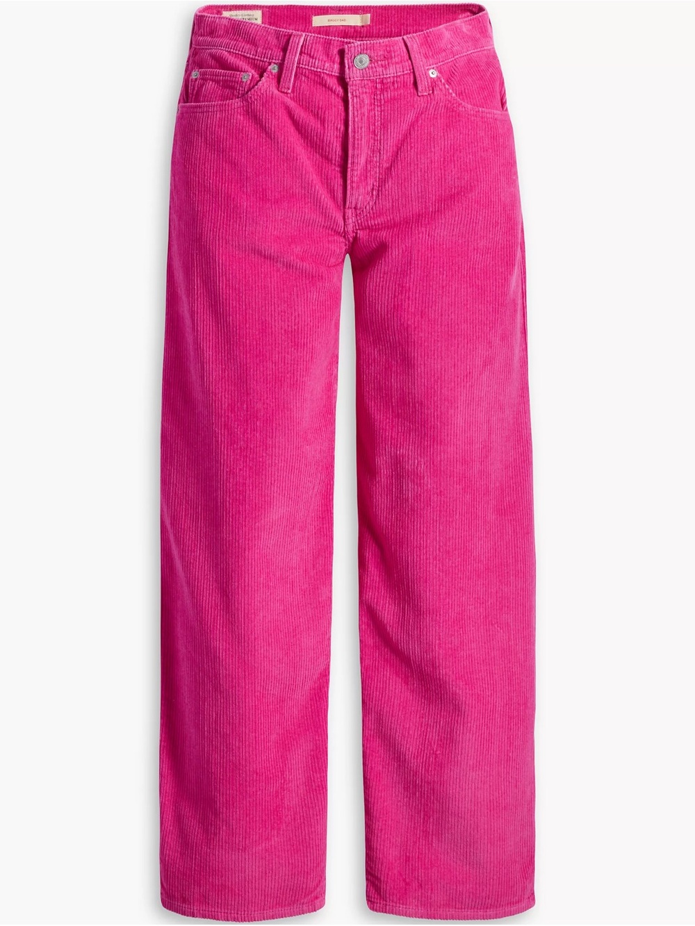 Levi’s Premium Baggy Dad Corduroy Women’s Pants, Size 28